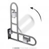 Swing up grab bar with toilet tissue holder