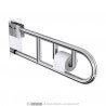 Swing up grab bar with toilet tissue holder